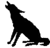 logo4